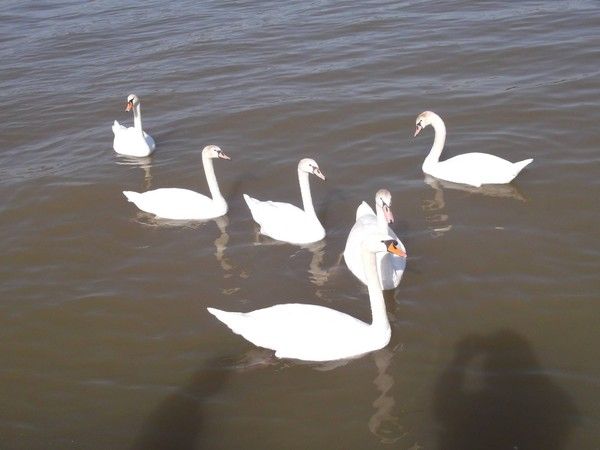 jolie promenade tranquille