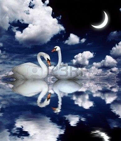 lune cygne