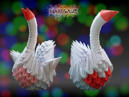 326 deux cygnes bien jolis aussi